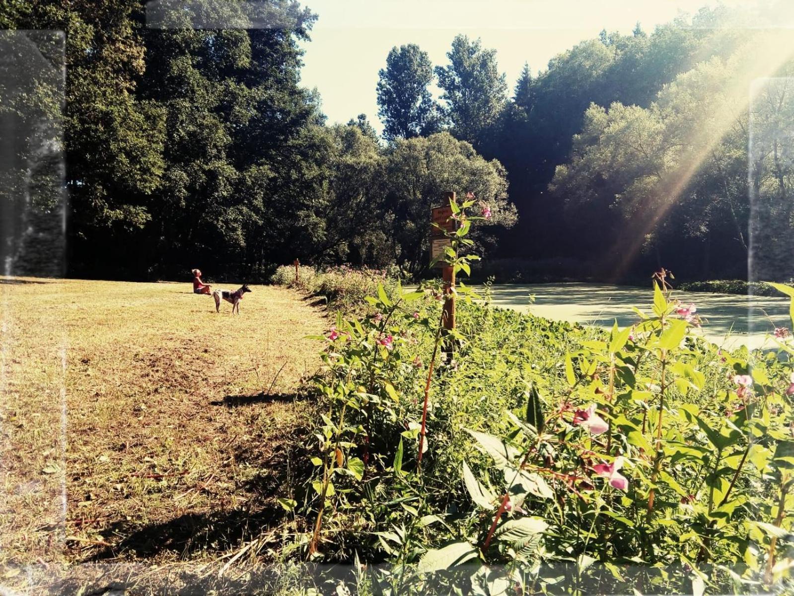 Sabine'S Wellnesslodge Ruppertsweiler Kültér fotó